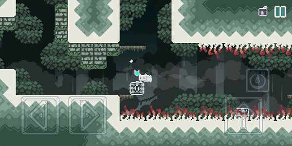 无名的猫罐头怎么收集图片2