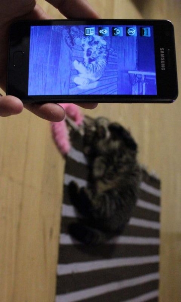 透视相机软件截图