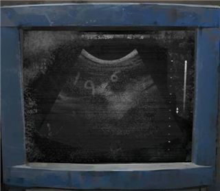 纸嫁衣8千子树游戏图片12