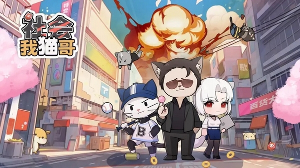 社会我猫哥图片