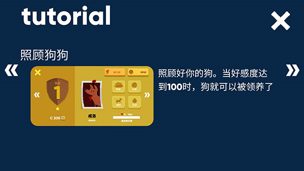 狗狗庇护所进阶攻略12