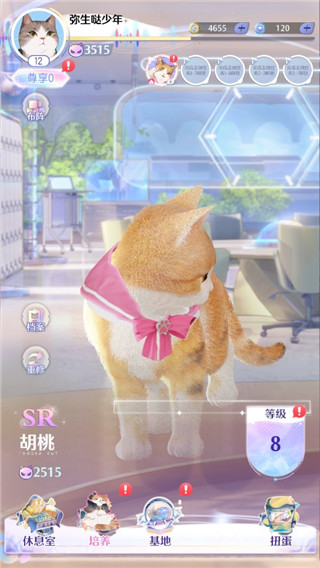 超喵星计划最新版图片14