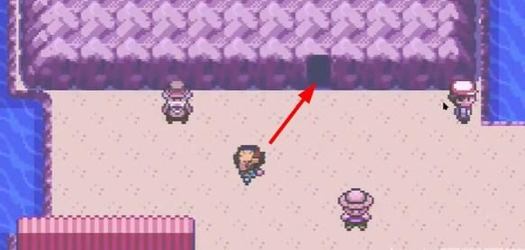 口袋妖怪燃之智游戏截图4