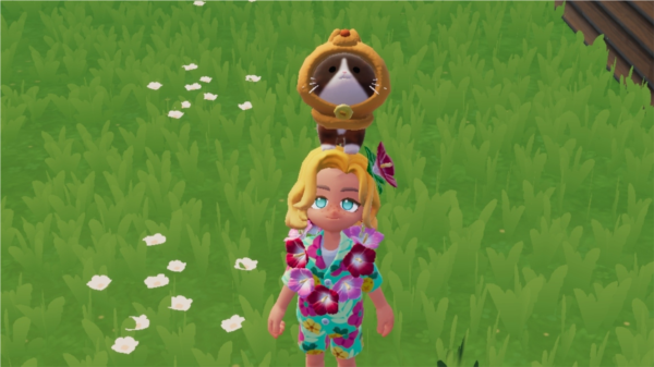 心动小镇新手攻略图片24