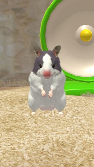 我的仓鼠新手攻略图片2