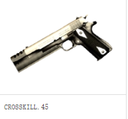 收获日枪械介绍2