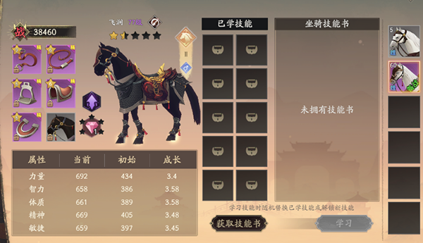 坐骑系统攻略配图2