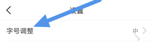 字号大小调整教程3