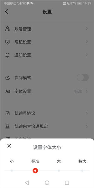凯迪网app如何调字体图片3